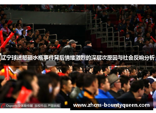 辽宁球迷怒砸水瓶事件背后情绪激烈的深层次原因与社会反响分析